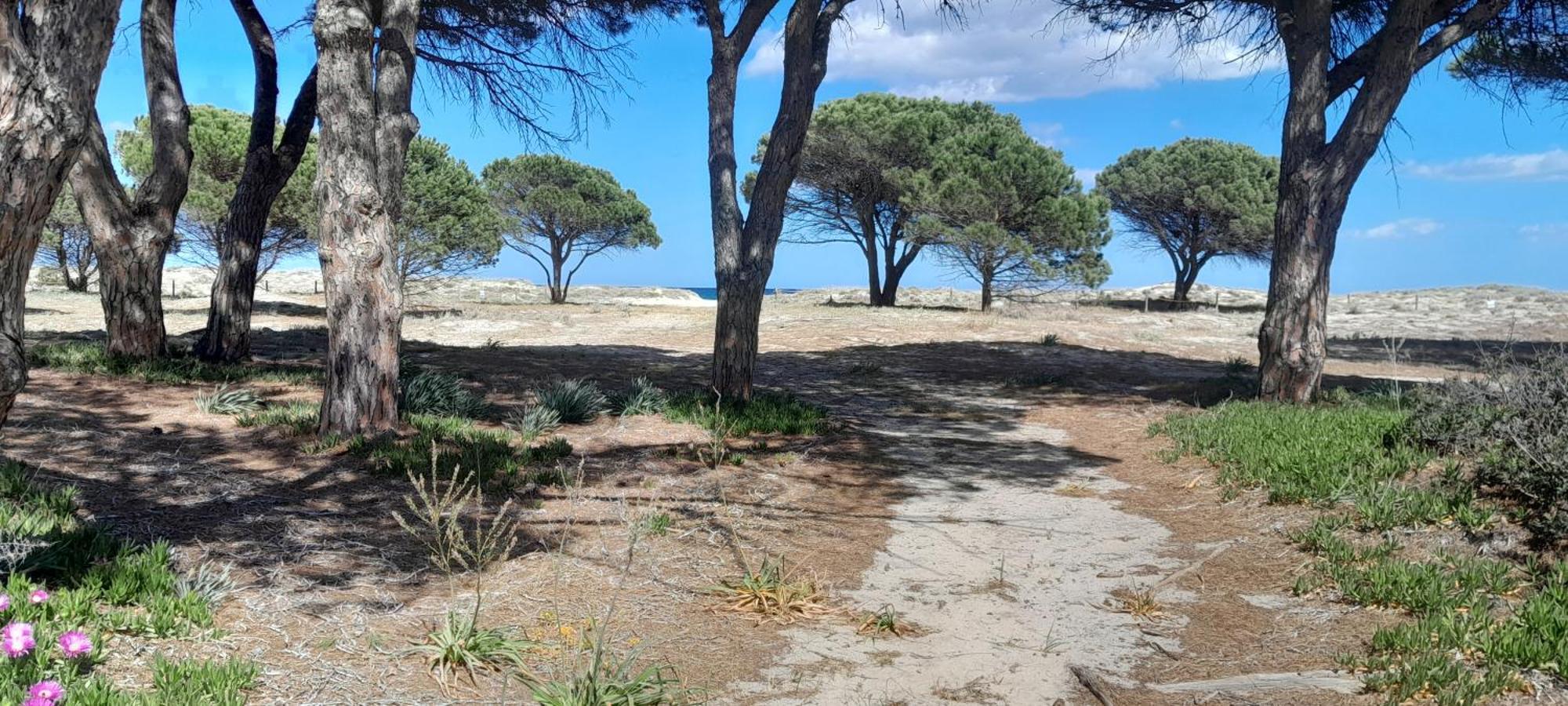 Resort Abbaia Ba Budoni Eksteriør billede